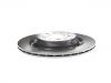 Brake Disc:1044631-00-D